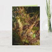 Autumn Forest Floor Karte (Vorderseite)