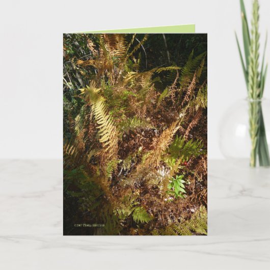 Autumn Forest Floor Karte (Vorderseite)