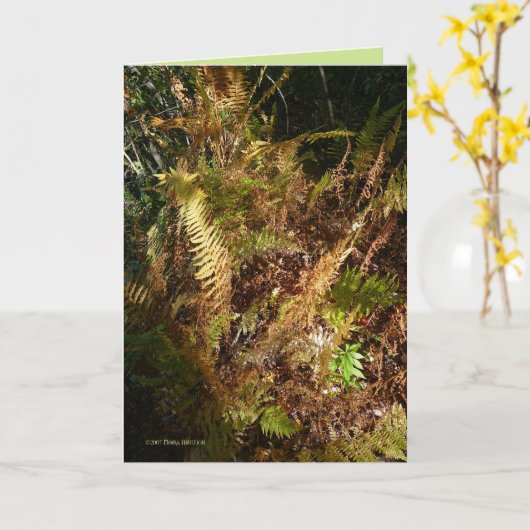 Autumn Forest Floor Karte (Gelbe Blume)