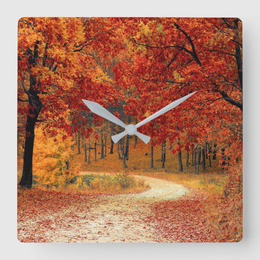 Autumn Forest Quadratische Wanduhr (Vorderseite)