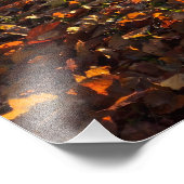 Autumn fotodruck (Ecke)
