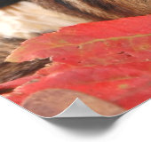 Autumn Fun Little Chipmunk Poster (Ecke)
