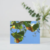 Autumn Ginkgo Biloba Blätter DIY Postcard Postkarte (Stehend Vorderseite)