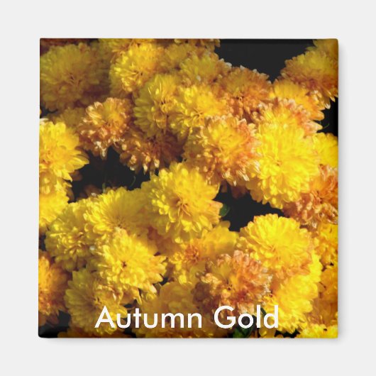 Autumn Gold Magnet (Vorne)