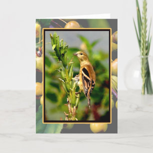 Autumn Goldfinch & Crabapples Notecard Karte