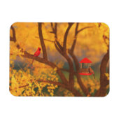Autumn Guardian Flexible Magnet (Horizontal)
