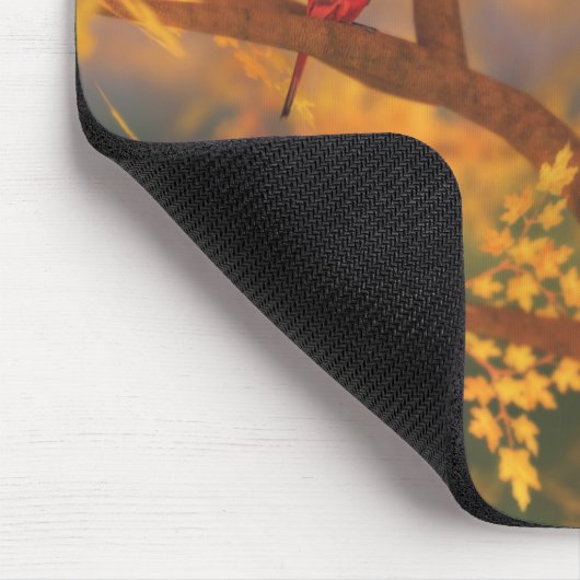 Autumn Guardian Mousepad (Ecke)