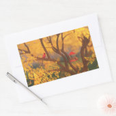 Autumn Guardian Stickers (Umschlag)