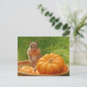 Autumn Harvest Chipmunk Postkarte (Stehend Vorderseite)