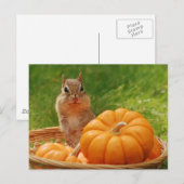 Autumn Harvest Chipmunk Postkarte (Vorne/Hinten)