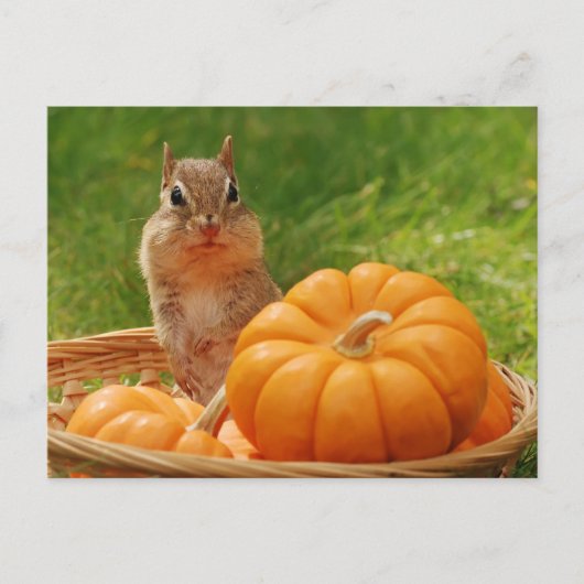 Autumn Harvest Chipmunk Postkarte (Vorderseite)