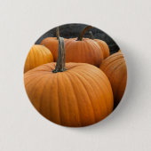 Autumn Harvest Orange Pumpkins Button (Vorderseite)