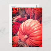 Autumn Harvest Postcard Postkarte (Vorne/Hinten)