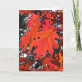 AUTUMN HERBSTLAUB HELLO GREETING CARD KARTE (Vorderseite)