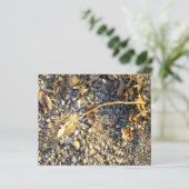 Autumn Impression Paper Sheet (Stehend Vorderseite)