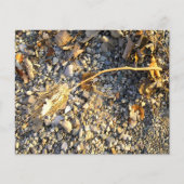 Autumn Impression Paper Sheet (Vorderseite)