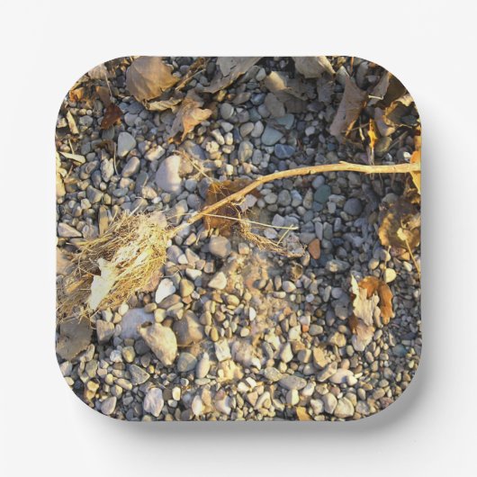 Autumn Impression Pappteller (Vorderseite)