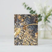 Autumn Impression Postkarte (Stehend Vorderseite)