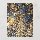 Autumn Impression Postkarte (Vorderseite)