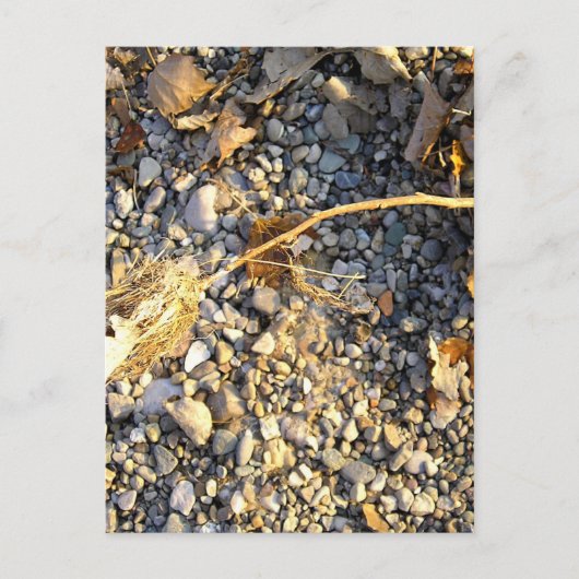 Autumn Impression Postkarte (Vorderseite)