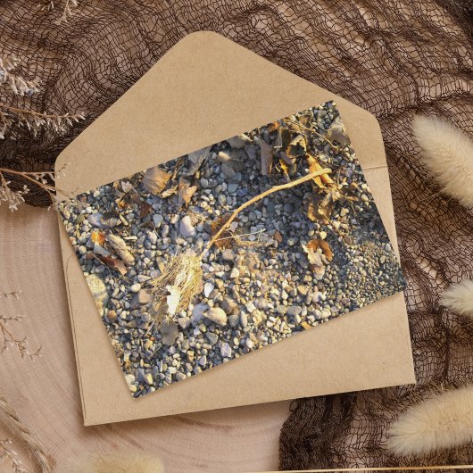 Autumn Impression Postkarte