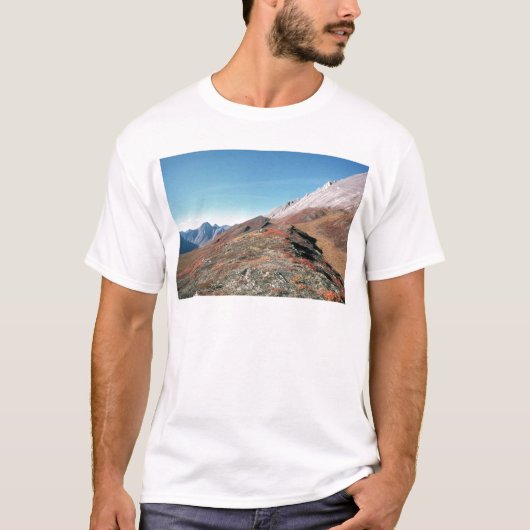 AUTUMN IN BERGEN LANDSCHAFTLICH T-Shirt (Vorderseite)