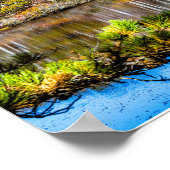 Autumn in Provincetown Poster (Ecke)