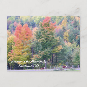 Autumn in the Adirondacks Postkarte