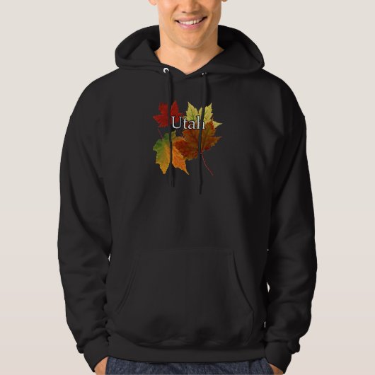 AUTUMN IN UTAH HOODIE (Vorderseite)