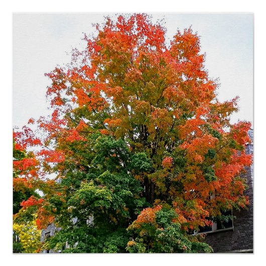 AUTUMN IST GOTT-PALETTE POSTER (Vorderseite)