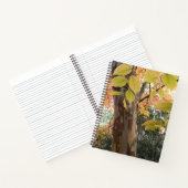 Autumn Japanese Stewartia Tree Floral Notebook Notizblock (Innenseite)