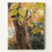 Autumn Japanese Stewartia Tree Floral Notebook Notizblock (Rückseite)