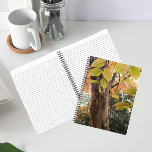 Autumn Japanese Stewartia Tree Floral Notebook Notizblock