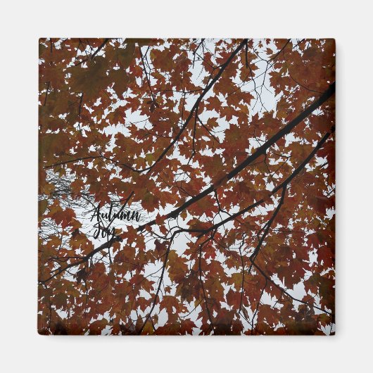 Autumn Joy Magnet (Vorne)