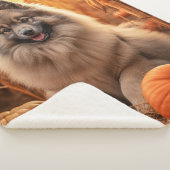 Autumn Keeshond Sherpadecke (3/4)