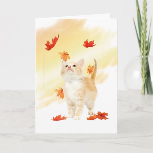 Autumn Kitten Card Feiertagskarte (Vorderseite)