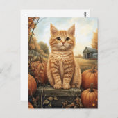 Autumn Kitten mit Pumpkins Postkarte (Vorne/Hinten)