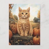 Autumn Kitten mit Pumpkins Postkarte (Vorderseite)