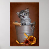 Autumn Kitten Poster (Vorne)