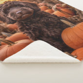 Autumn Labradoodle Sherpadecke (3/4)