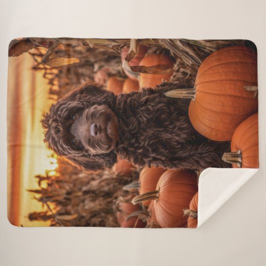 Autumn Labradoodle Sherpadecke (Vorderseite (Horizontal))