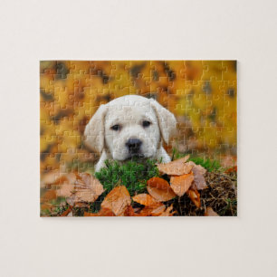 Autumn Labrador Puzzle