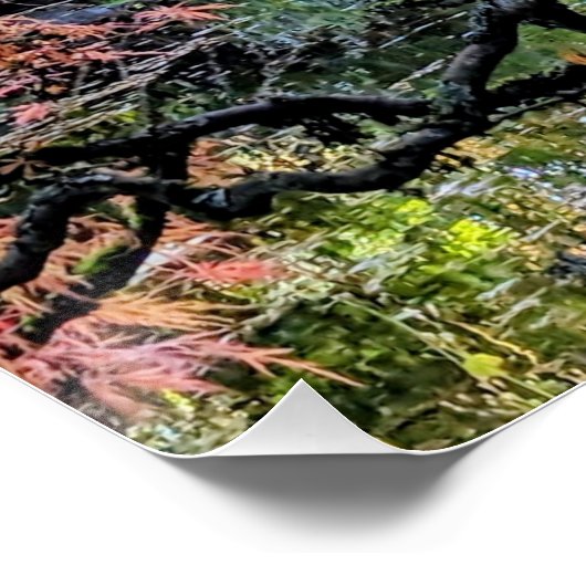 Autumn Laceleaf Japanese Maple Tree Botanical Poster (Ecke)