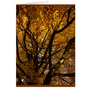 Autumn Landcape Blank Card Schöne Print Cards