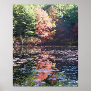 Autumn Landscape Poster