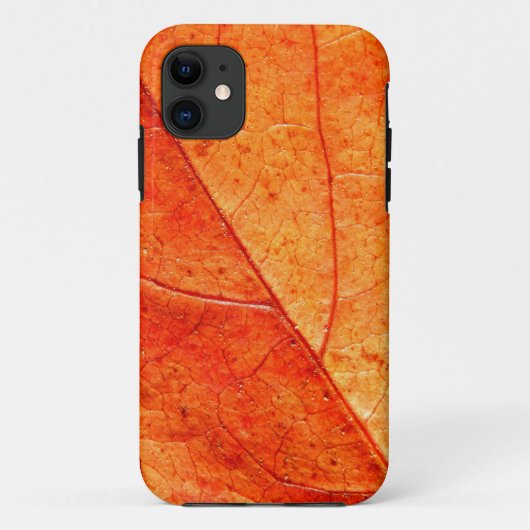 Autumn Leaf Close-up iPhone SE+5/5S Case (Rückseite)