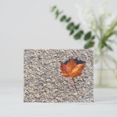 AUTUMN LEAF FOTO POSTCARD POSTKARTE (Stehend Vorderseite)