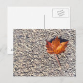 AUTUMN LEAF FOTO POSTCARD POSTKARTE (Vorne/Hinten)