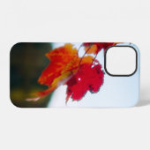 Autumn Leaf iPhone-Hülle iPhone Hülle (Rückseite (Horizontal))