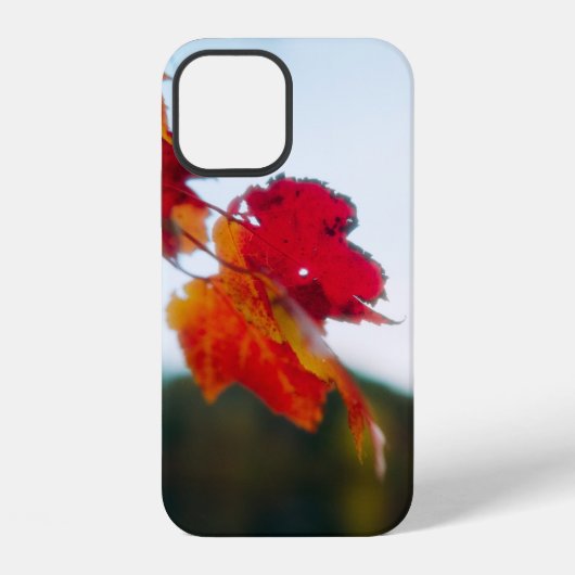 Autumn Leaf iPhone-Hülle iPhone Hülle (Rückseite)